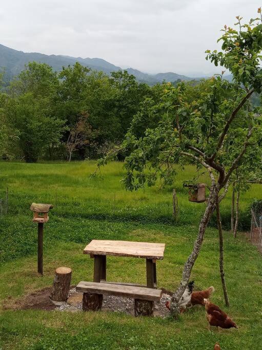 Casa Rural El Cotu En Onís Eksteriør billede