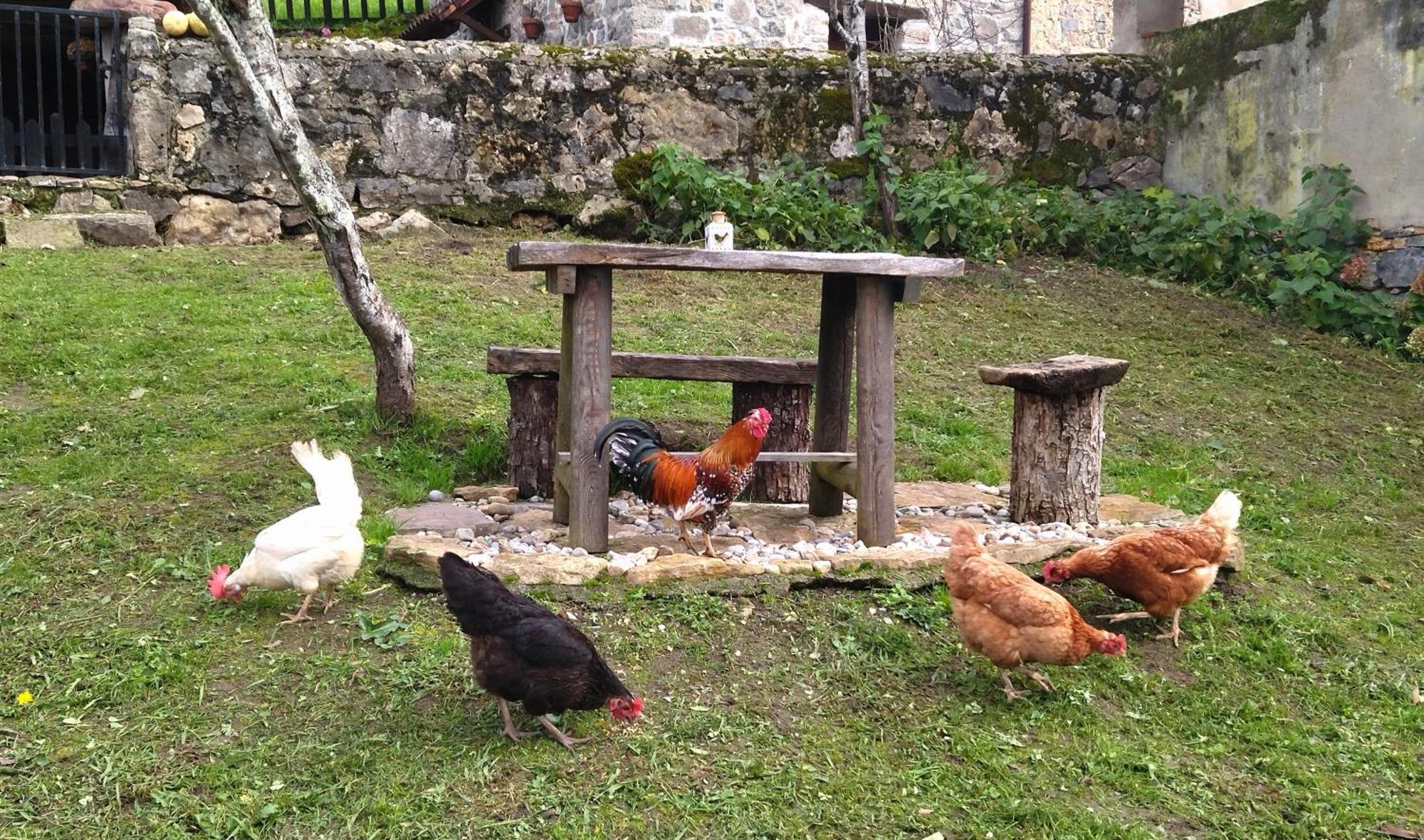 Casa Rural El Cotu En Onís Eksteriør billede